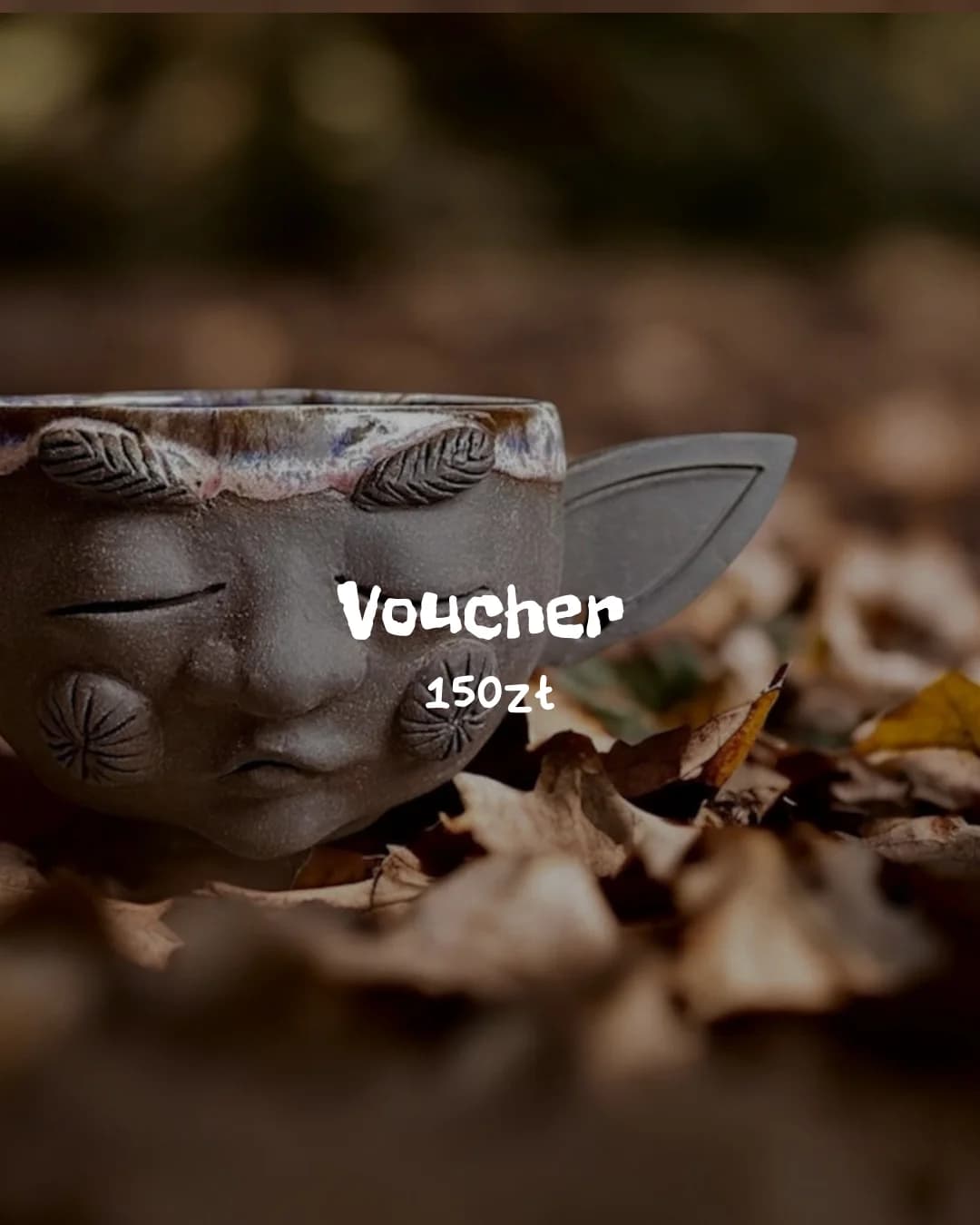 Voucher 150zł