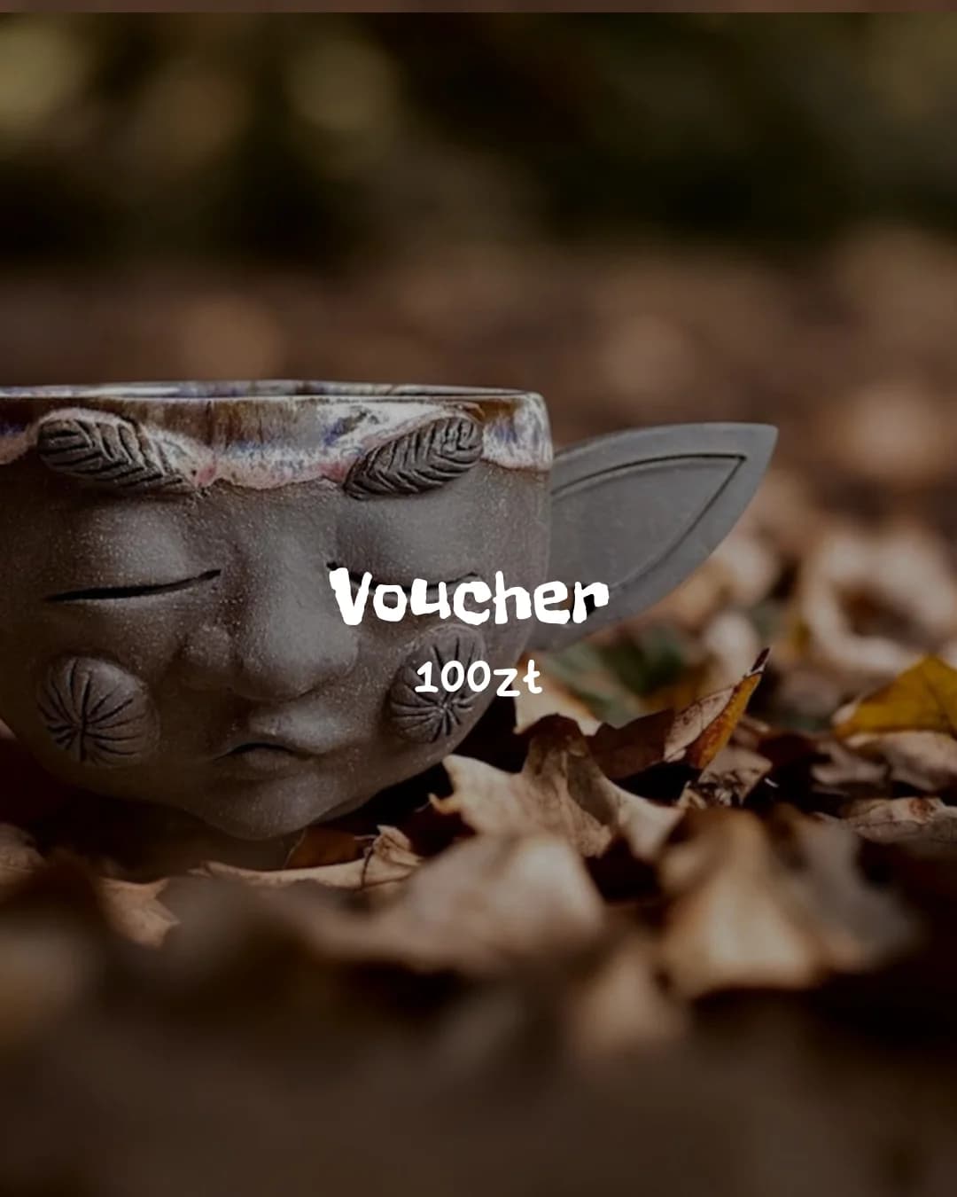 Voucher 100zł